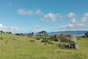 Otuataua Stonefields Reserve image