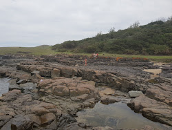Photo de Jacaranda beach zone sauvage