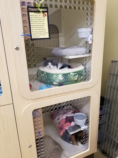 Pet Supply Store «Petco Animal Supplies», reviews and photos, 1412 S Main Chapel Way, Gambrills, MD 21054, USA