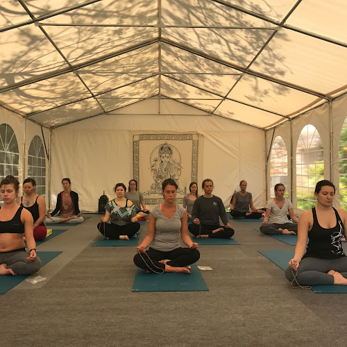 Rezensionen über Indiv Yoga Switzerland in Lancy - Yoga-Studio