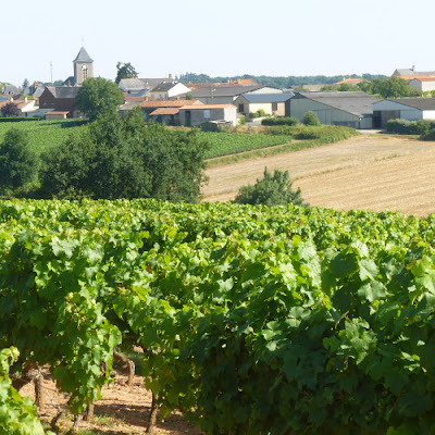 DOMAINE DES TROIS MONTS à Lys-Haut-Layon