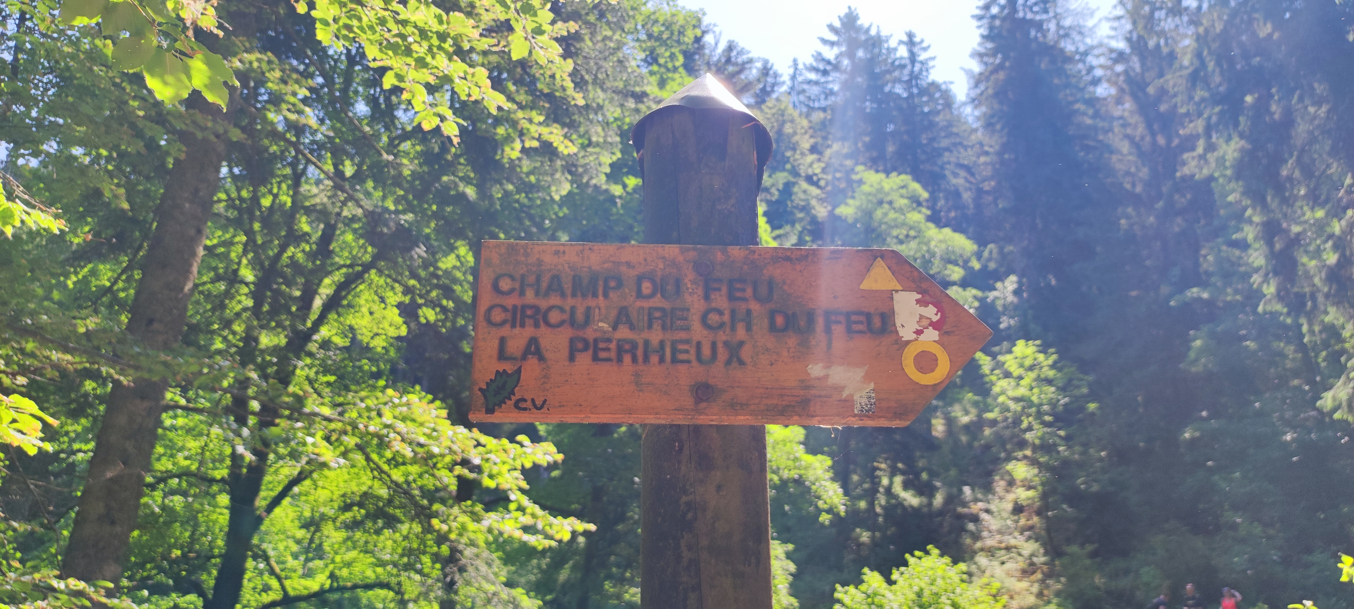 Photo n° 3 de l'avis de Gadji.a fait le 10/06/2023 à 01:52