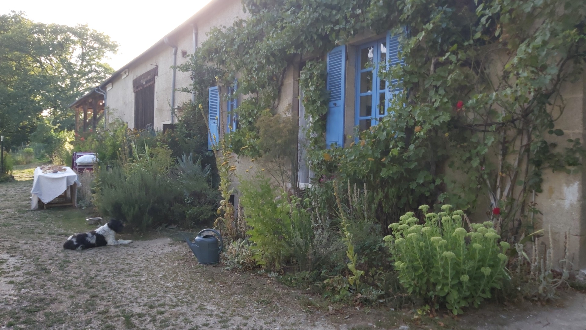 Photo n° 3 de l'avis de MaxGames11. fait le 19/08/2019 à 17:11