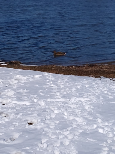 Park «Millers Pond Park», reviews and photos, 6175 Old Pearsall Rd, San Antonio, TX 78242, USA