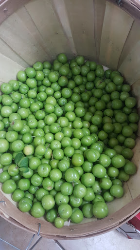 Grocery Store «Babylon Food Market», reviews and photos, 1056 S Roselle Rd, Schaumburg, IL 60193, USA