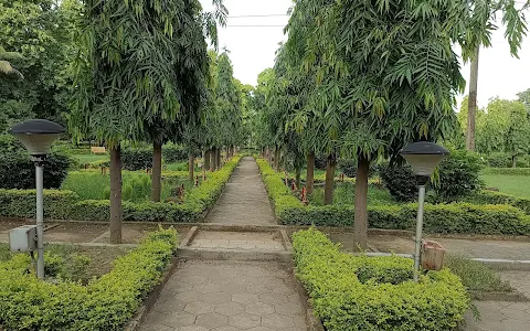 CSEB Garden image