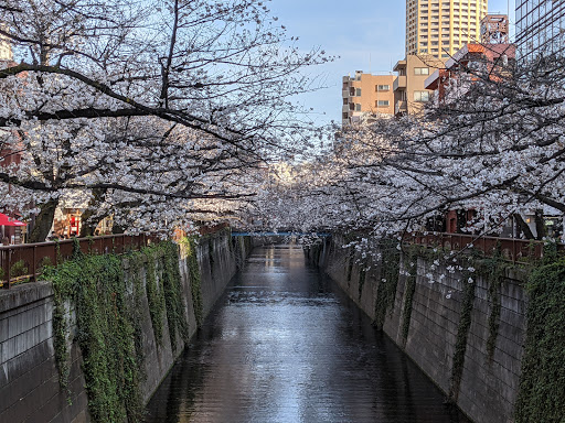 Naka-Meguro Park