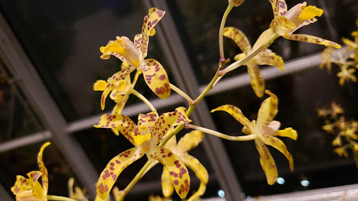 Art Museum «Isabella Stewart Gardner Museum», reviews and photos, 25 Evans Way, Boston, MA 02115, USA