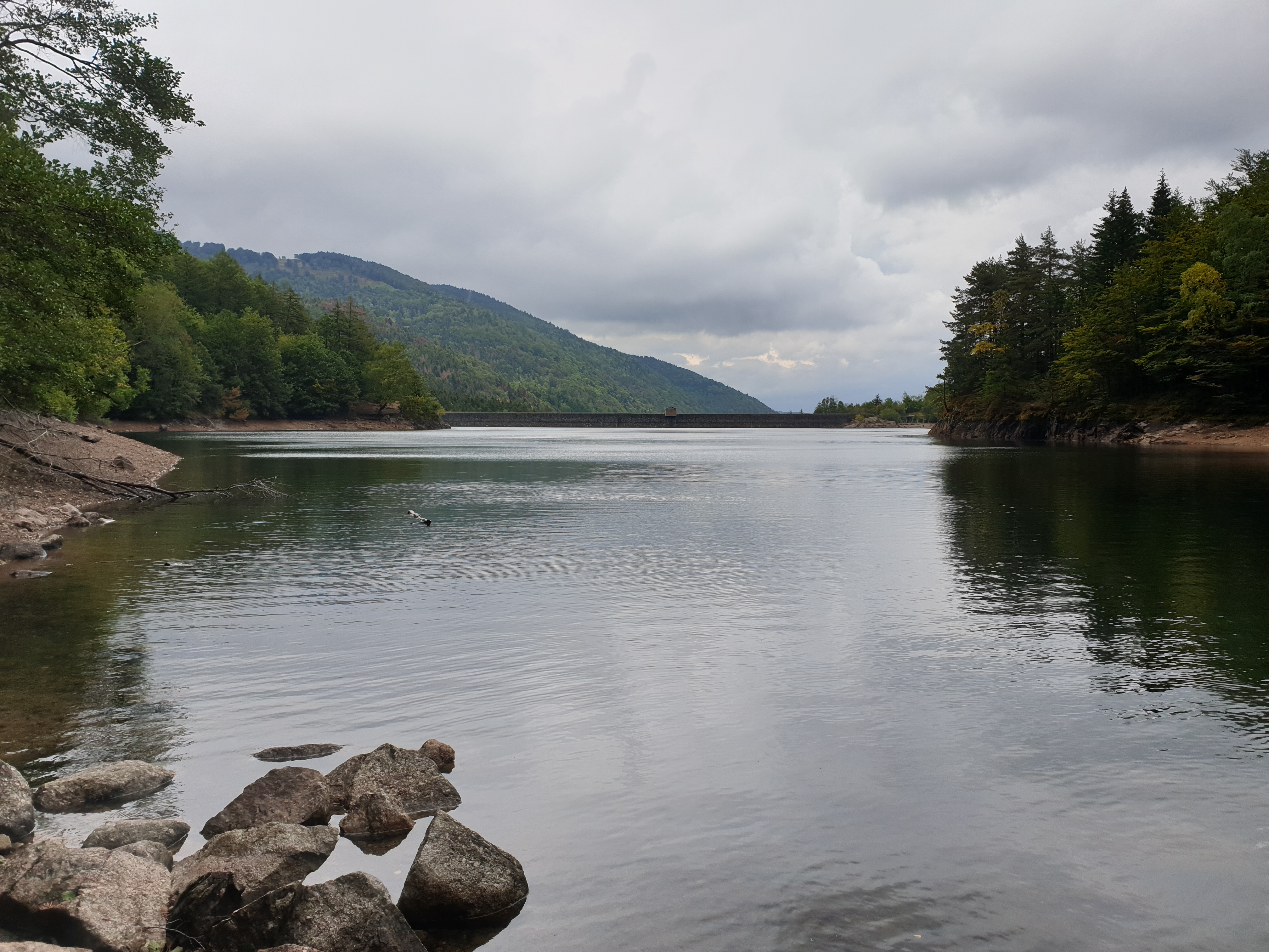 Photo n° 21 de l'avis de Christophe.r fait le 28/07/2019 à 18:55