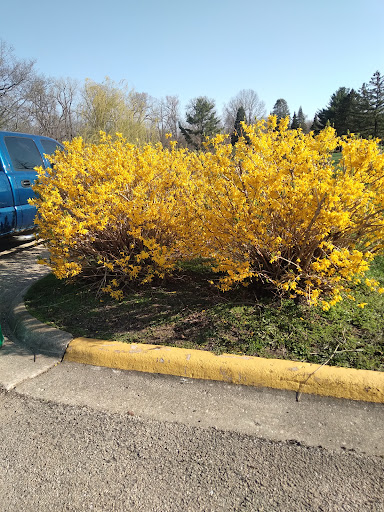 Park «Coloma Township Park District», reviews and photos, 510 E 11th St, Rock Falls, IL 61071, USA