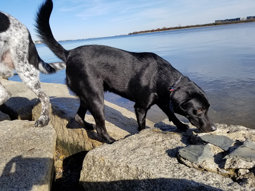 Park «Dorchester Shores Reservation Victory Road Park», reviews and photos, Victory Rd, Dorchester, MA 02122, USA