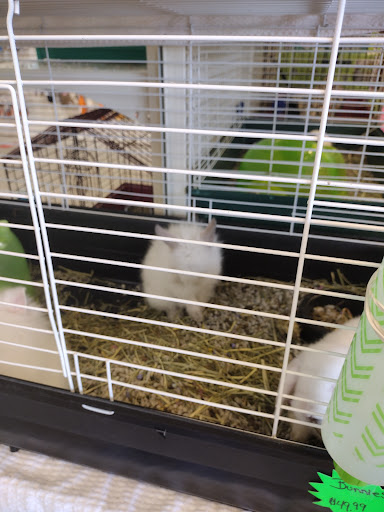 Pet Supply Store «Pet Partners», reviews and photos, 1962 W State St, Bristol, TN 37620, USA