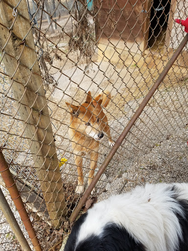 Zoo «Kentucky Down Under Adventure Zoo», reviews and photos, 3700 L and N Turnpike Rd, Horse Cave, KY 42749, USA