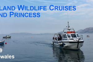 Starida Puffin Island Cruises and Sea Fishing Trips image