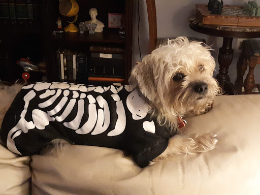 Animal Medical Clinic-Dulany image