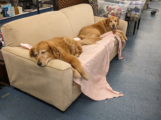 Save the Animals Store