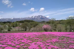芝桜の丘 image