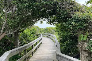 Sunken Forest image