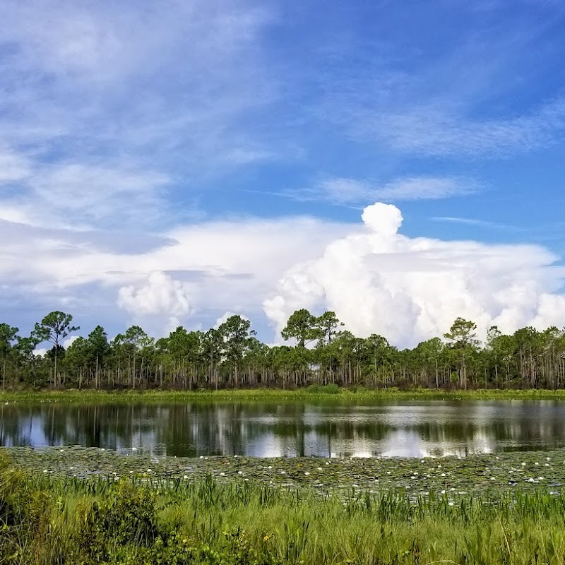 T. Mabry Carlton Jr. Memorial Reserve