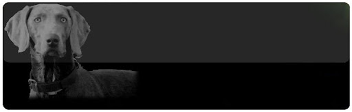 Centro Veterinario El Coronil en El Coronil