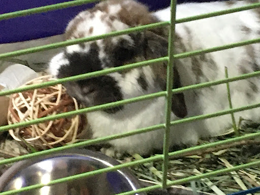 Pet Supply Store «Eden Garden and Pets», reviews and photos, 1439 S 70th St, West Allis, WI 53214, USA