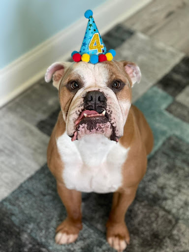 Insurance Agency «Lesa Yoho - State Farm Insurance Agent», reviews and photos