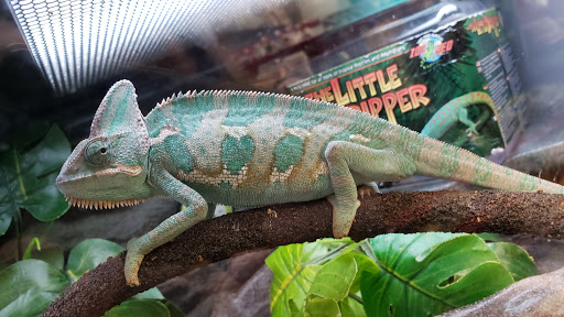 Pet Supply Store «Petco Animal Supplies», reviews and photos, 10060 US Highway 40 G-150, Ellicott City, MD 21042, USA