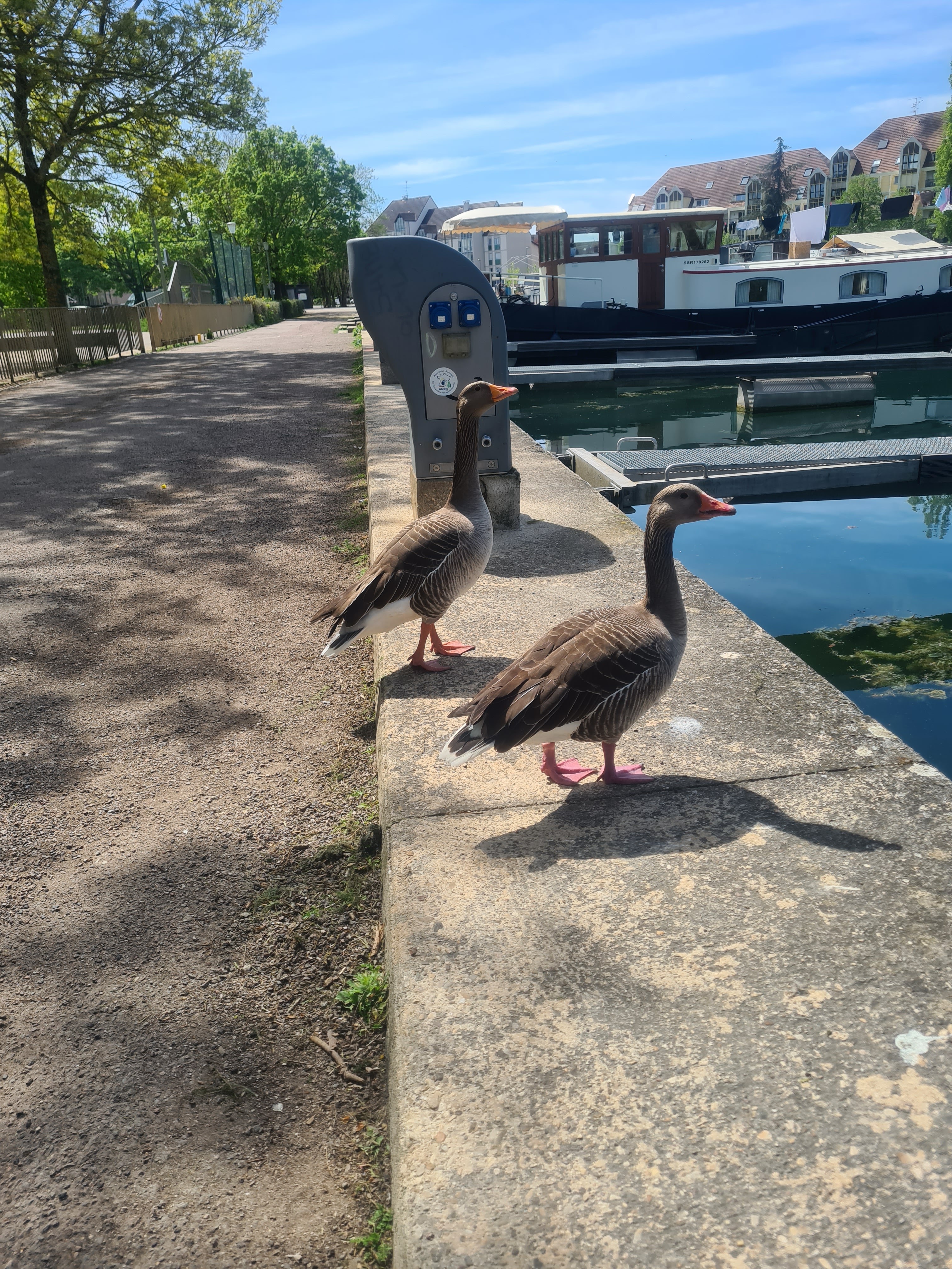 Photo n° 2 de l'avis de David.u fait le 27/04/2022 à 14:27