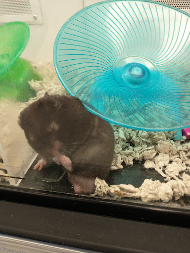 Pet Supply Store «Petco Animal Supplies», reviews and photos, 2140 E Blvd St, Kokomo, IN 46902, USA