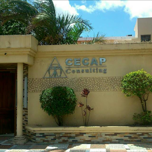 CECAP Consulting