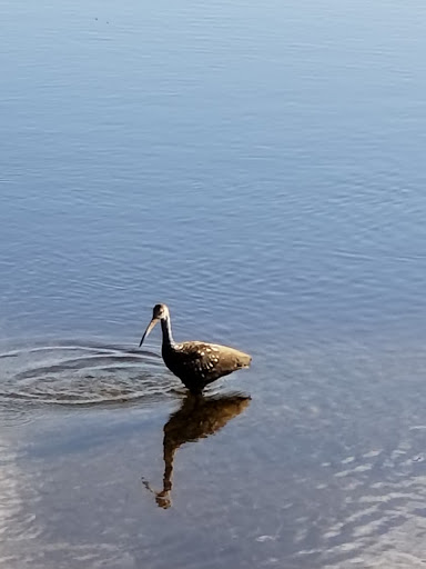 Park «Lake Lotus Park Office», reviews and photos, 1153 Lake Lotus Park Rd, Altamonte Springs, FL 32714, USA