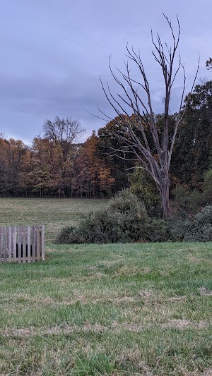 Rockingham Historic Site - photo 29