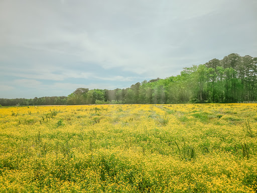 Fruit and Vegetable Store «Henley Farm», reviews and photos, 3513 Charity Neck Rd, Virginia Beach, VA 23456, USA