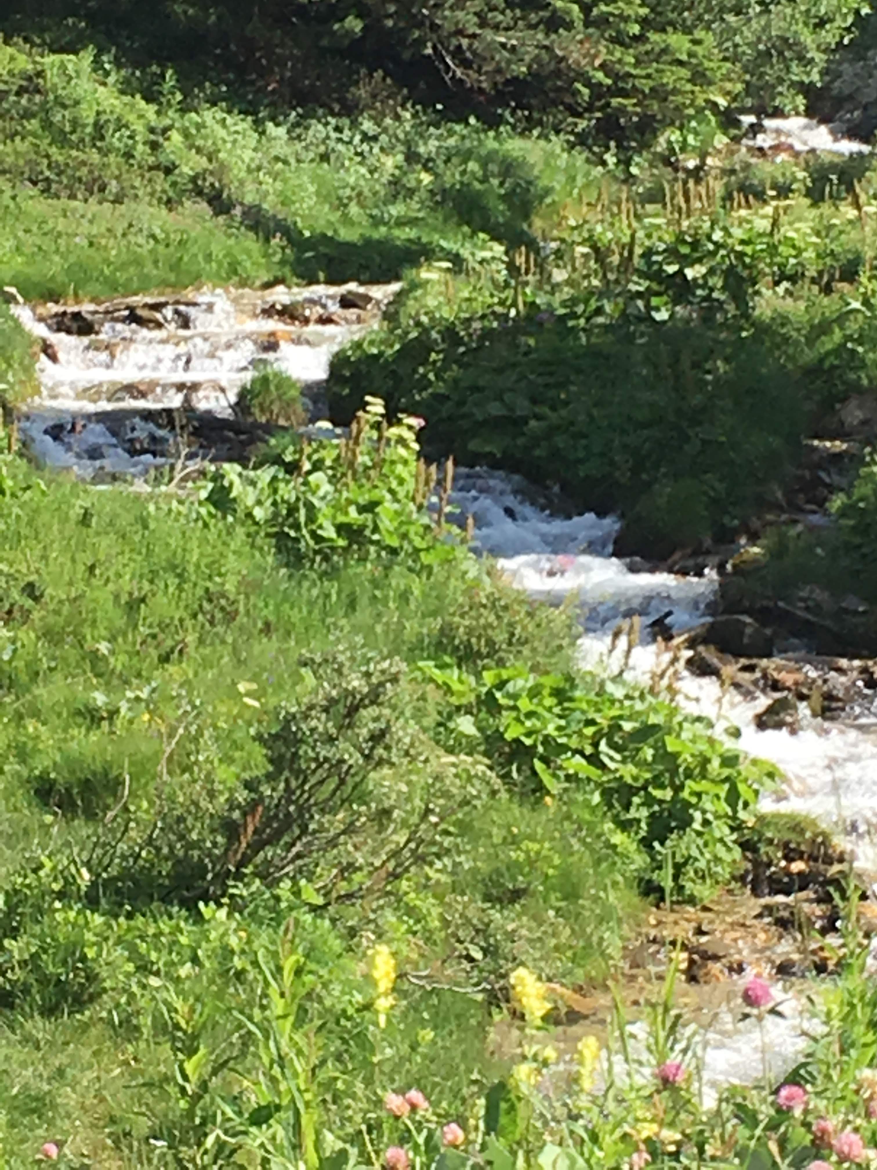 Photo n° 4 de l'avis de jimenez.r fait le 21/03/2019 à 10:38