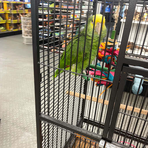 Pet Store «B & B Pet Stop, Inc.», reviews and photos, 5035 Cottage Hill Rd, Mobile, AL 36609, USA