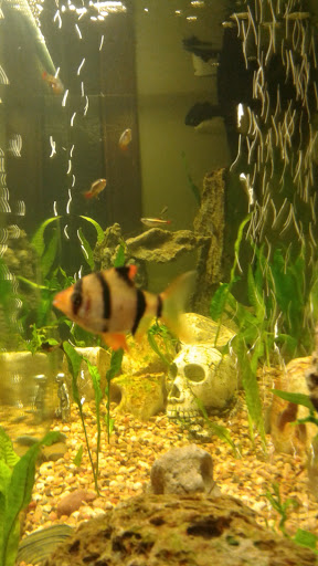 Pet Supply Store «Petco Animal Supplies», reviews and photos, 2541 NW Arterial, Dubuque, IA 52002, USA