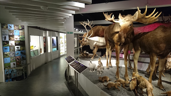 Anmeldelser af Naturhistorisk Museum Århus i Aarhus - Museum