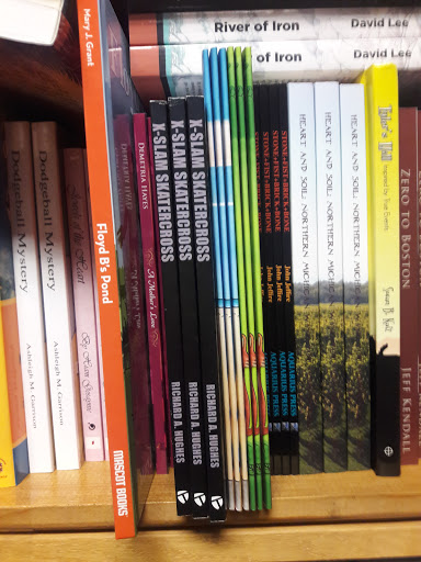 Shopping Mall «Lincoln Shopping Center», reviews and photos, 26092 Greenfield Rd, Oak Park, MI 48237, USA