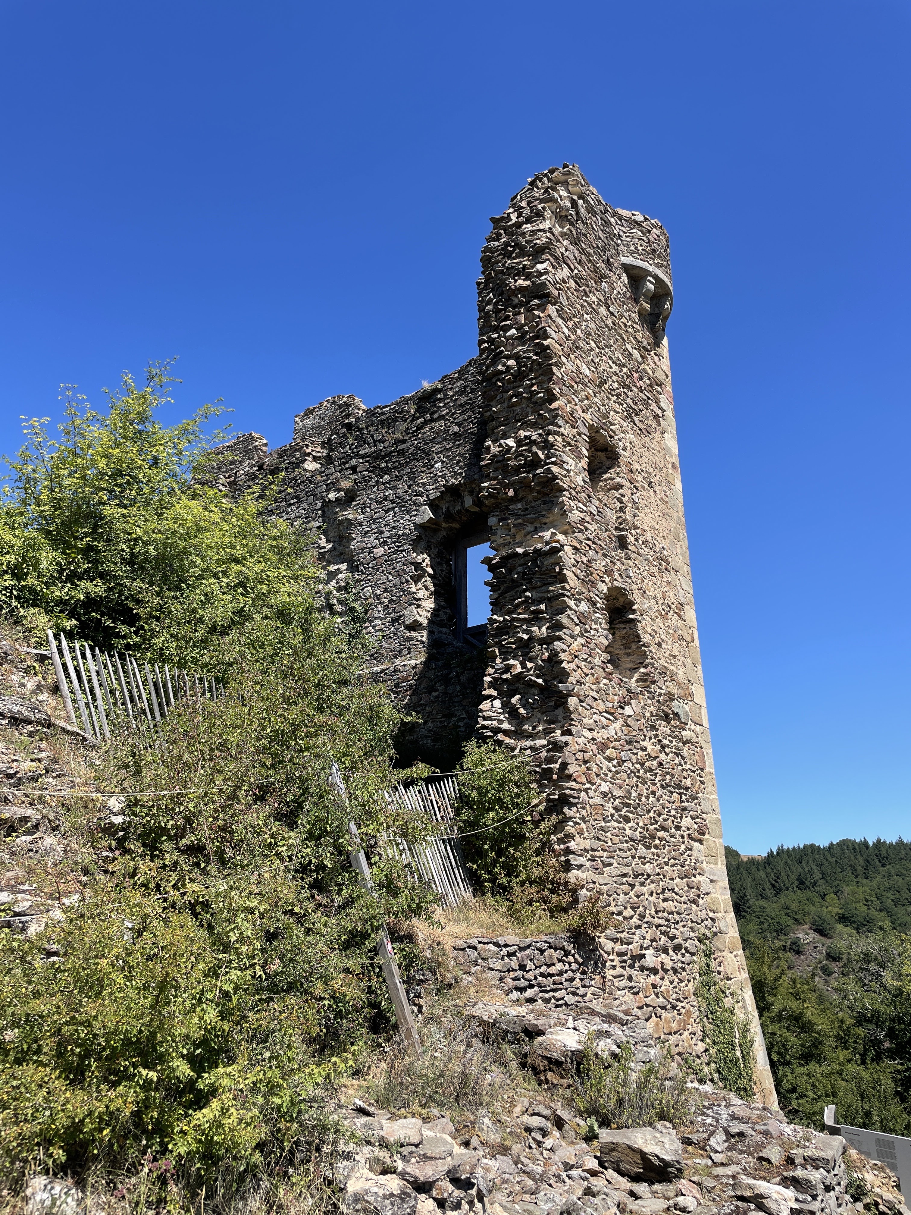 Photo n° 12 de l'avis de Mickaël. fait le 03/08/2022 à 15:43