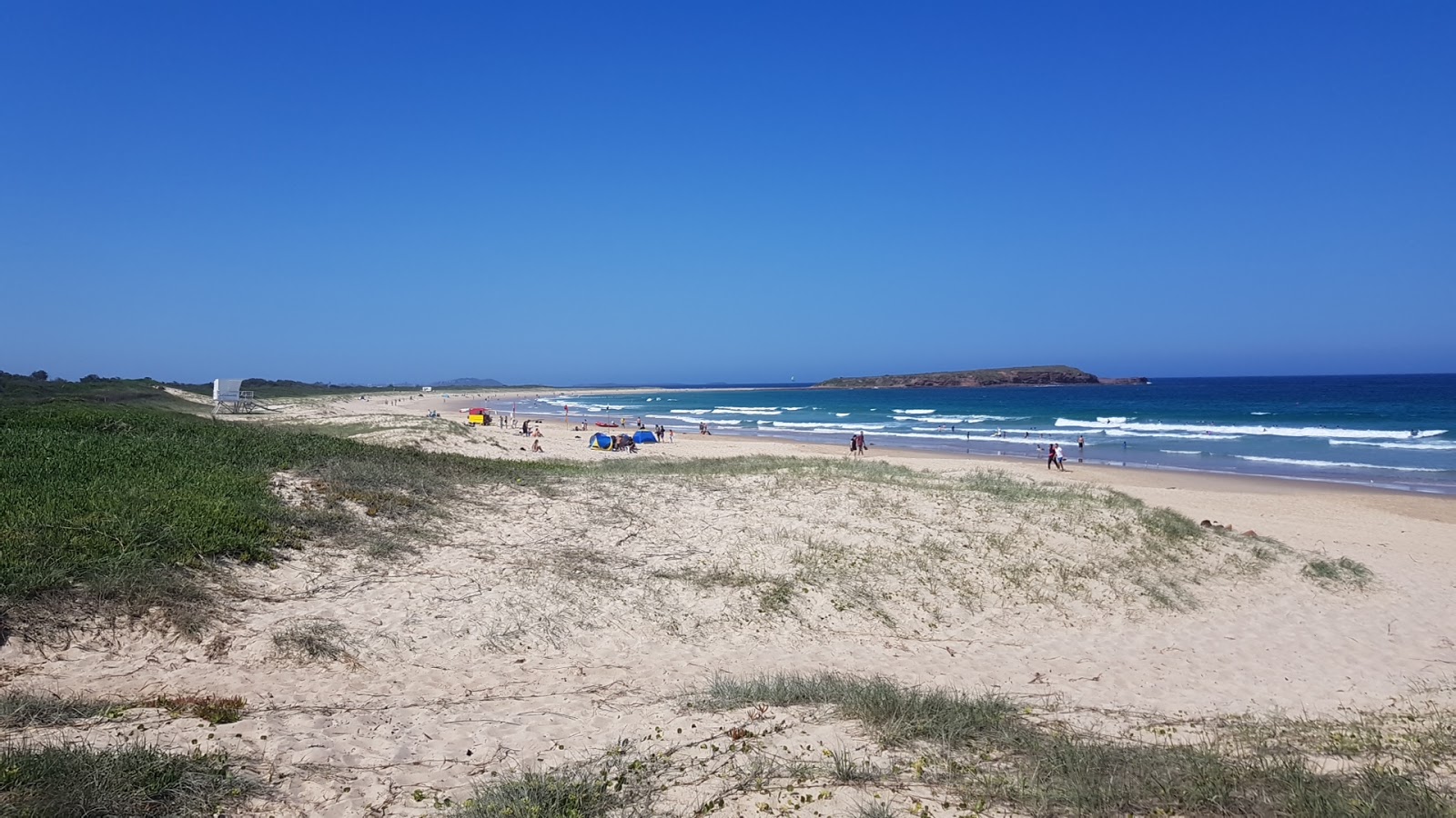 Warilla Beach'in fotoğrafı çok temiz temizlik seviyesi ile