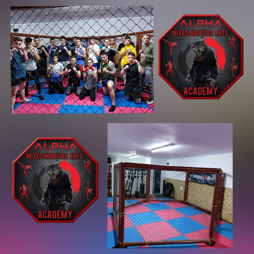 ALPHA MMA Academy Baia Mare - <nil>