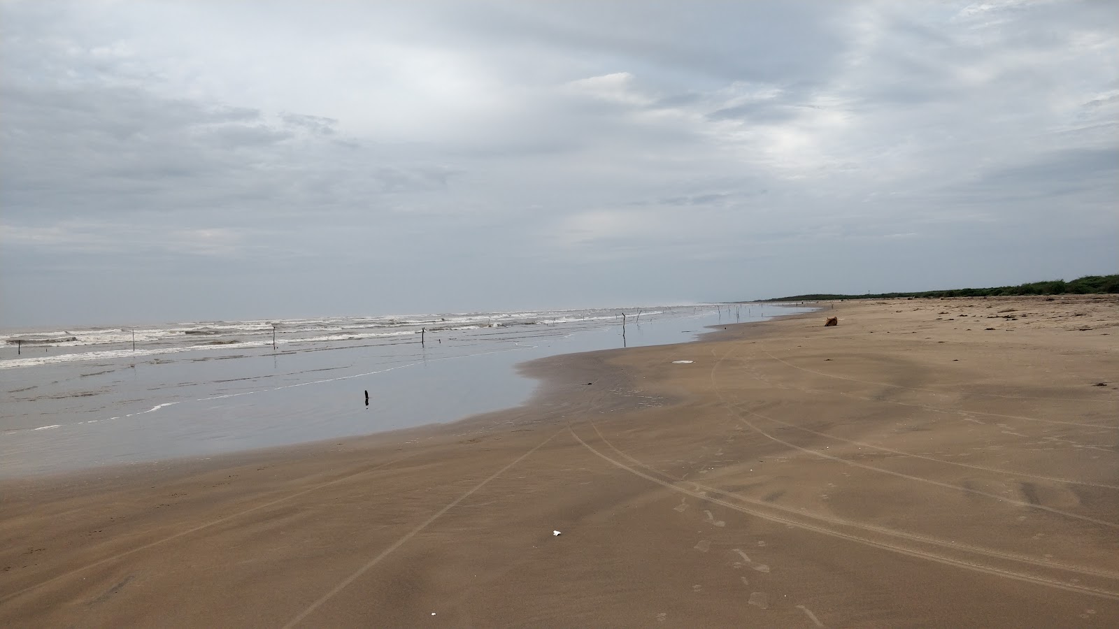 Pedapatnam Beach的照片 野外区域