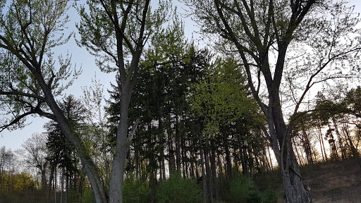 Park «Quaking Bog», reviews and photos, Theodore Wirth Pkwy, Minneapolis, MN 55411, USA