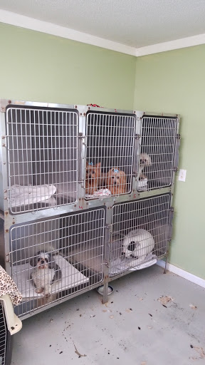 Carolina Pet Grooming