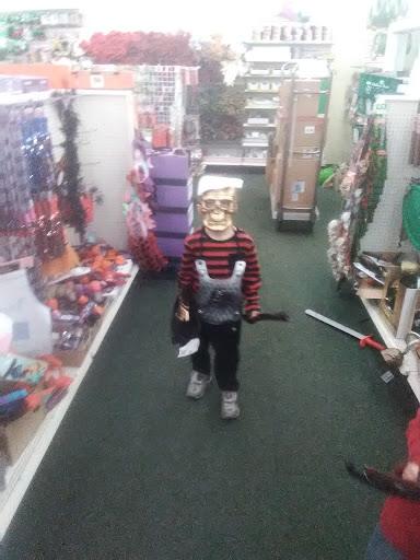 Dollar Store «Dollar Tree», reviews and photos, 402 E Clifty Dr Ste 4, Madison, IN 47250, USA