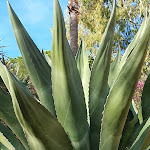 Photo n°8 de l'avis de Kate. fait le 30/12/2022 à 09:59 sur le  Hotel della Valle à Agrigento