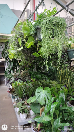 Home Improvement Store «The Home Depot», reviews and photos, 601 Woollomes Ave, Delano, CA 93215, USA