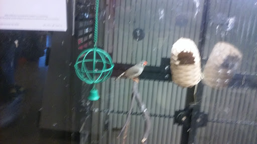 Pet Supply Store «PetSmart», reviews and photos, 830 Pelham Pkwy, Pelham, NY 10803, USA