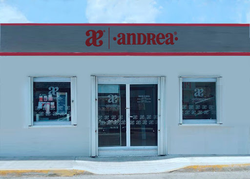 Shoe factories Andrea