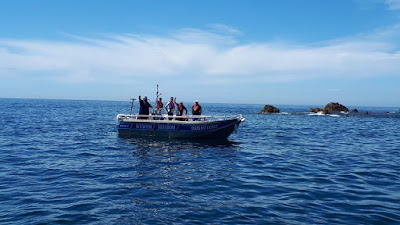 Littoral à Marseillan
